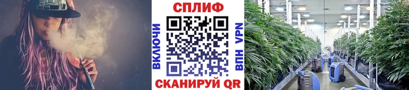 Где можно купить наркотики Волжск А ПВП Героин ГАШИШ МЕГА зеркало Меф мяу мяу