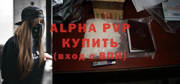 гашик Богородск