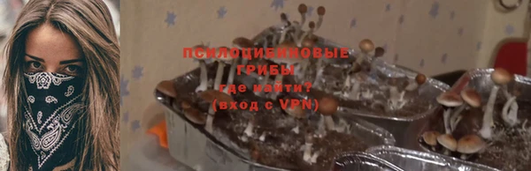 гашик Богородск