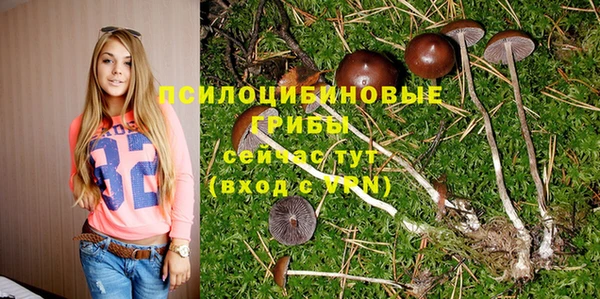 ешки Богородицк
