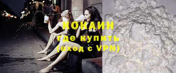 ECSTASY Гусь-Хрустальный