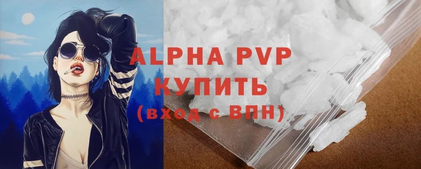 гашик Богородск