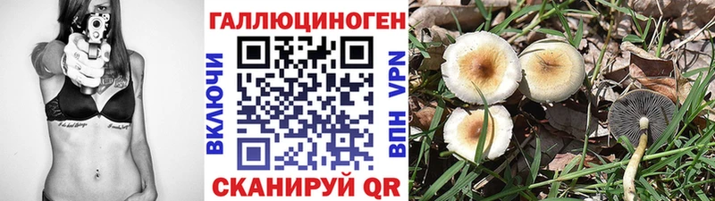 Галлюциногенные грибы Psilocybine cubensis  как найти   Волжск 