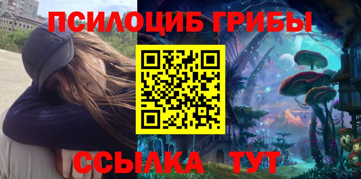 Волжск  Псилоцибиновые грибы Magic Shrooms  Псилоцибиновые грибы Psilocybine cubensis  Вход с VPN 